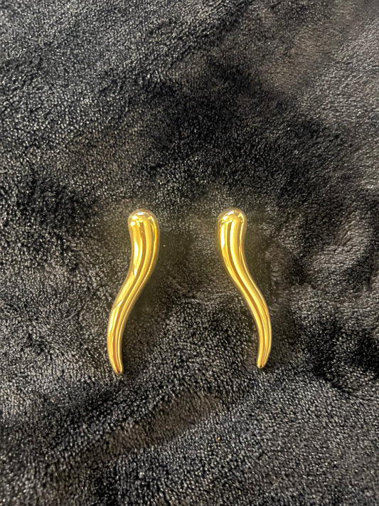 Fluid Motion Earrings